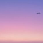 紫ピンク色の空を飛ぶ飛行機